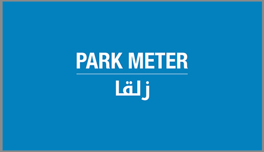 Cash to Business | El Zalka Park Meter