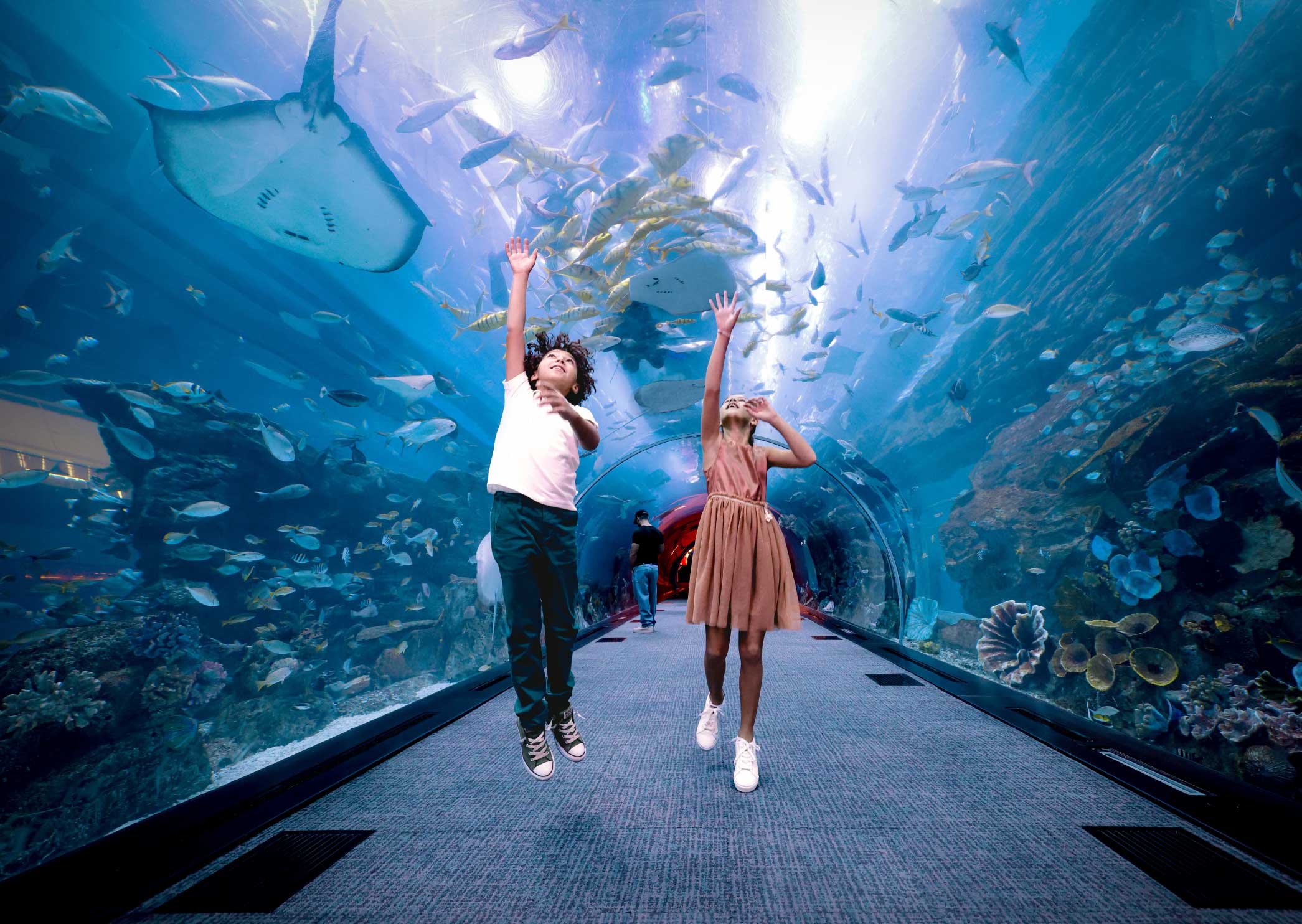 Dubai Aquarium & Underwater Zoo