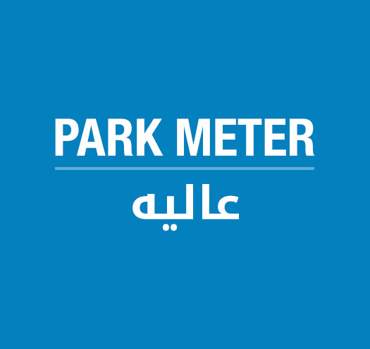 Aley Park Meter